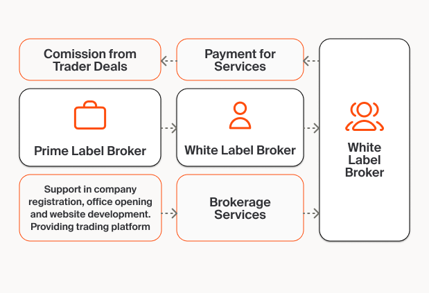 Tips on How to Choose a Provider of WL Solutions